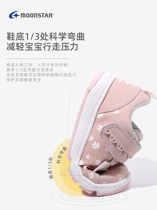 Moonstar月星秋季新款女童帆布鞋 3-6岁机能鞋 时尚校园运动鞋 商品图2