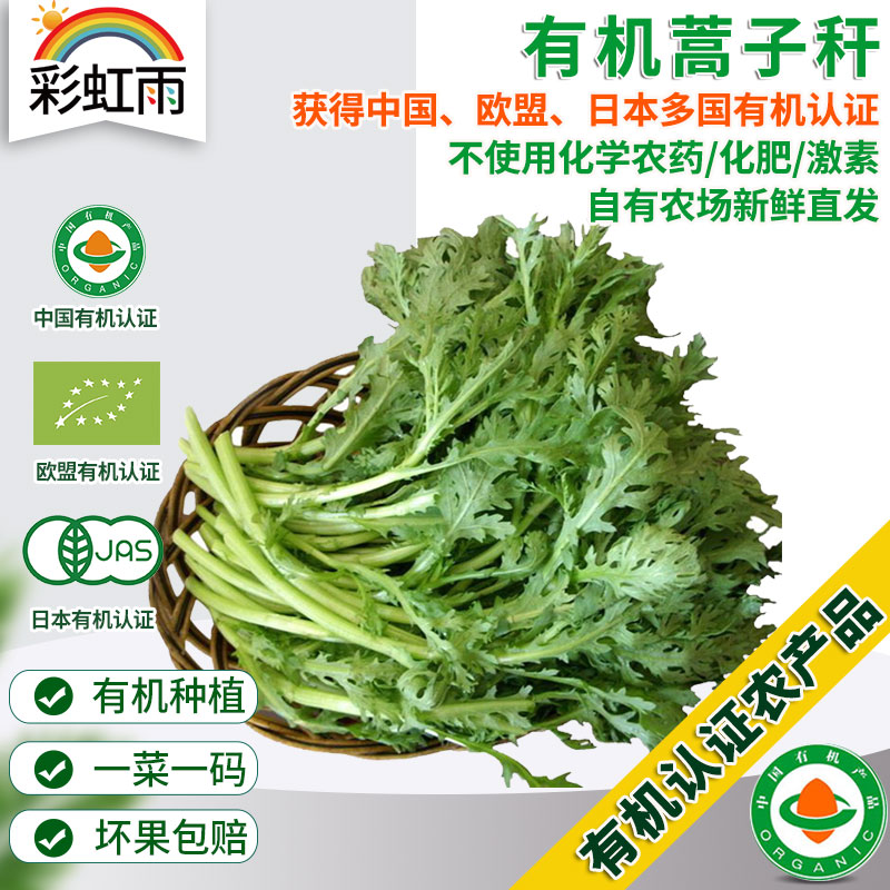 彩虹雨 有机蔬菜 蒿子秆250g欧盟认证 京津冀满百包邮