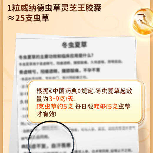 威纳德虫草灵芝王胶囊冬虫夏草滋补营养品香港原装正品90粒装 商品图3