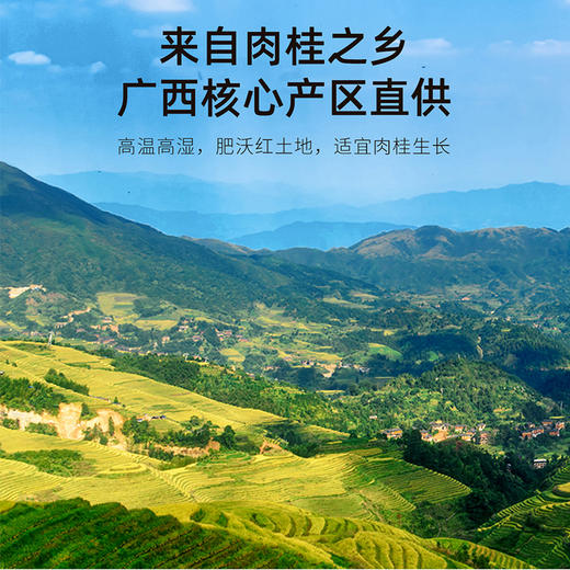 杞里香100g瓶装肉桂道地广西当季新货肉桂颜色自然棕黄，香气自然浓郁一桂多用，家中常备，煲汤炒菜，泡茶 商品图3