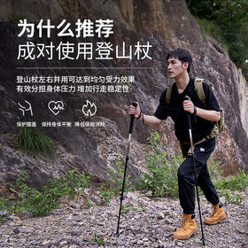  牧高笛（MOBIGARDEN）征途铝合金登山杖 NX23667001