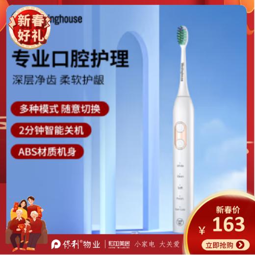 西屋（Westinghouse）智能声波电动牙刷_WT-0503 商品图0