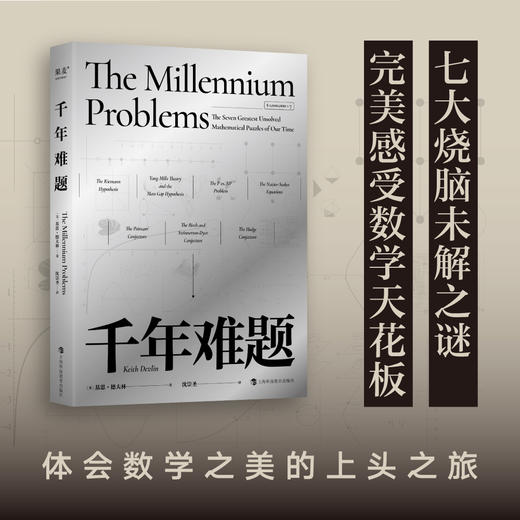 千年难题（七大悬而未决的数学问题，七次追逐数学极限的完美之旅！） 商品图0