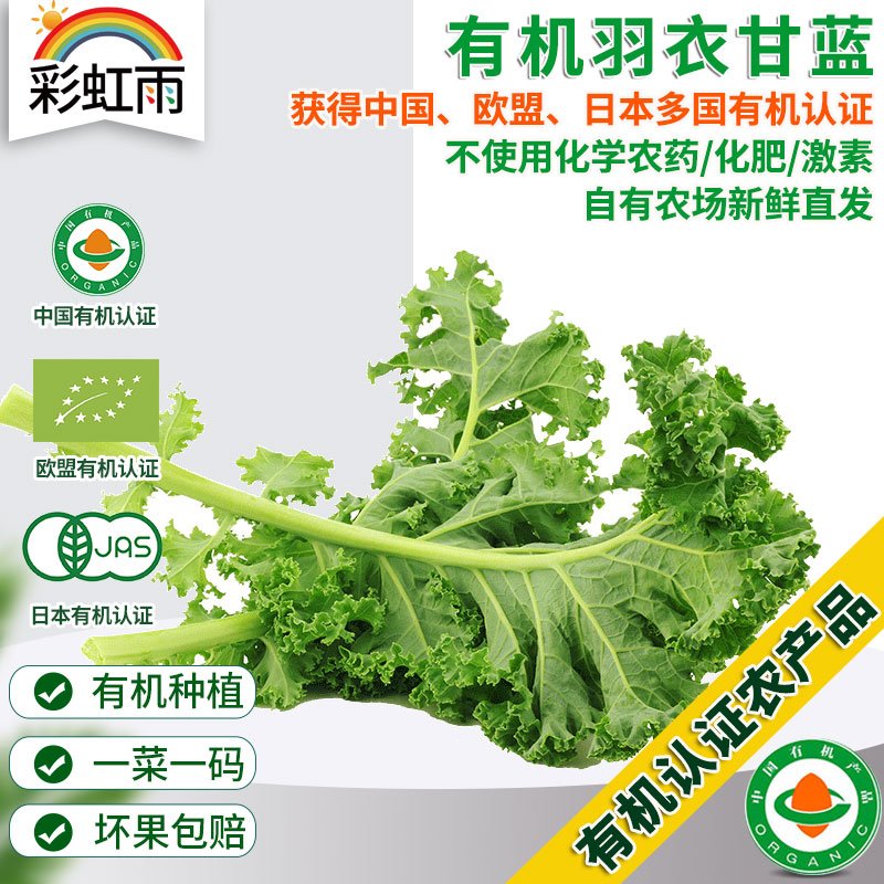 新鲜有机蔬菜羽衣甘蓝250g 欧盟认证彩虹雨有机农场满额包邮