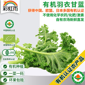 新鲜有机蔬菜羽衣甘蓝250g 欧盟认证彩虹雨有机农场满额包邮
