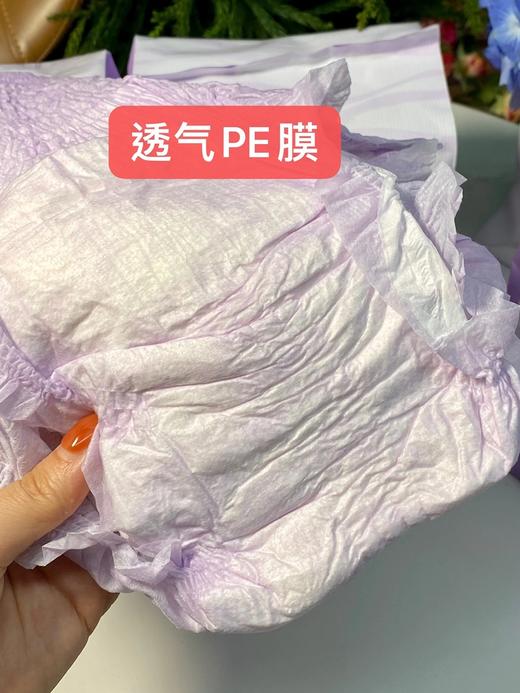 子初蚕丝安睡裤6片/包 25D02008 商品图12