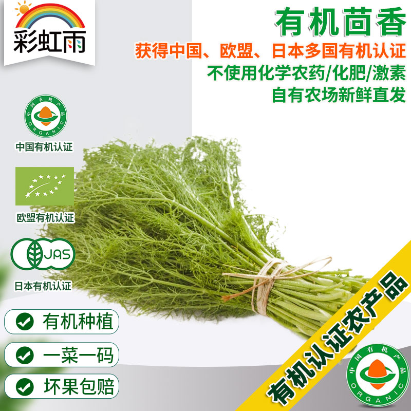全国满额包邮 有机蔬菜  新鲜小怀香茴香 香丝菜 250g欧盟认证