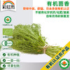 全国满额包邮 有机蔬菜  新鲜小怀香茴香 香丝菜 250g欧盟认证 商品缩略图0
