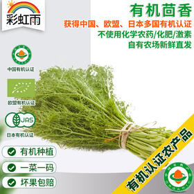 全国满额包邮 有机蔬菜  新鲜小怀香茴香 香丝菜 250g欧盟认证
