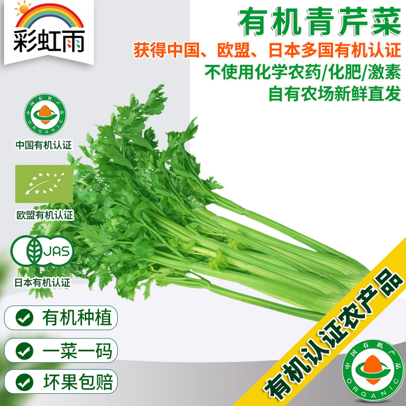 新鲜有机蔬菜 小颗西芹 青芹菜250g欧盟认证 京津冀满百包邮