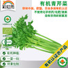 新鲜有机蔬菜 小颗西芹 青芹菜250g欧盟认证 京津冀满百包邮 商品缩略图0