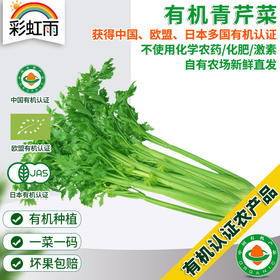 新鲜有机蔬菜 小颗西芹 青芹菜250g欧盟认证 京津冀满百包邮