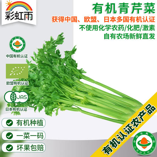 新鲜有机蔬菜 小颗西芹 青芹菜250g欧盟认证 京津冀满百包邮 商品图0