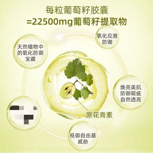 法国 Dynveo  葡萄籽 美白护眼胶囊 60粒瓶 商品图2