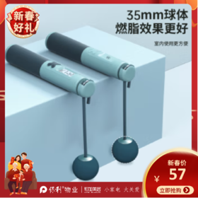 西屋（Westinghouse）智能计数跳绳_ME08