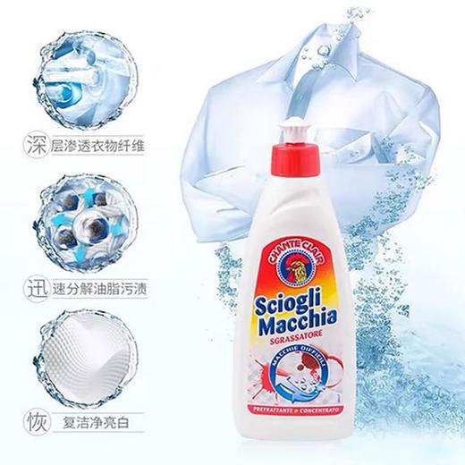 【一般贸易】意大利大公鸡管家 去污去渍衣领净375ml 商品图1