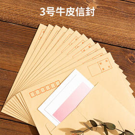 得力(deli)20张3号牛皮纸信封 邮局标准信封176*125mm3421-20