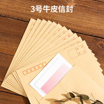 得力(deli)20张3号牛皮纸信封 邮局标准信封176*125mm3421-20 商品图0