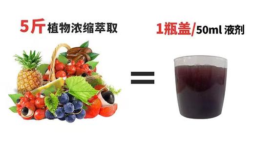 法国Vitavea燃燃美体炫腹菠萝饮膳食代谢 500ml瓶 商品图3