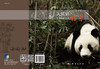 大熊猫传奇 商品缩略图3