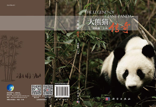 大熊猫传奇 商品图3