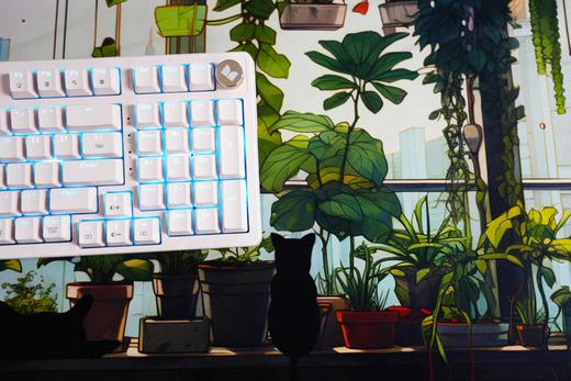 90×40cm最大规格鼠标垫桌垫 商品图11