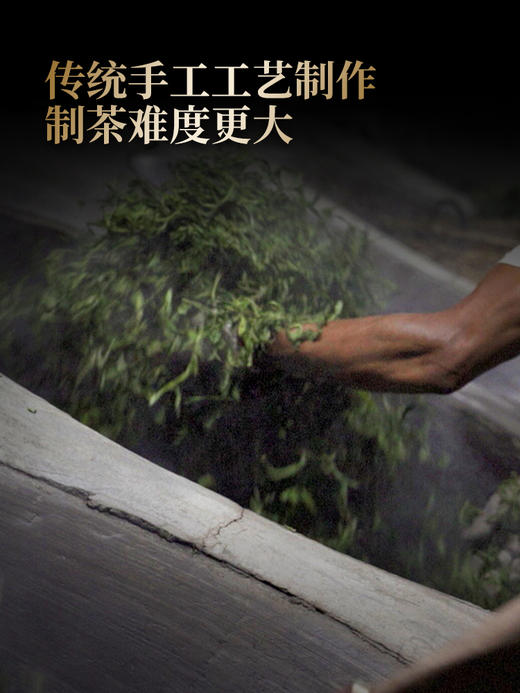 第二代升级版【王侯将相—左丞相：韩信】2024年易武茶区鼎级高奢品，约8900一芽一叶成就一片茶饼 全网限量50套出售，357克/饼，一套内含6饼， 拍5套发6套 商品图6