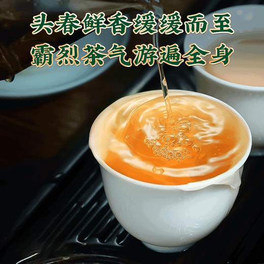 【2025年春茶】买1送1 吉顺号普洱茶古300系列那卡古树茶生茶饼357克/饼 商品图5