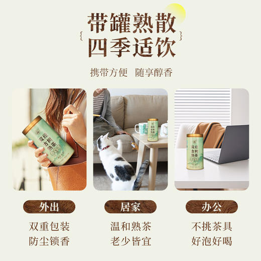 澜沧古茶2024年双绿古树熟茶散茶罐装100g 商品图1