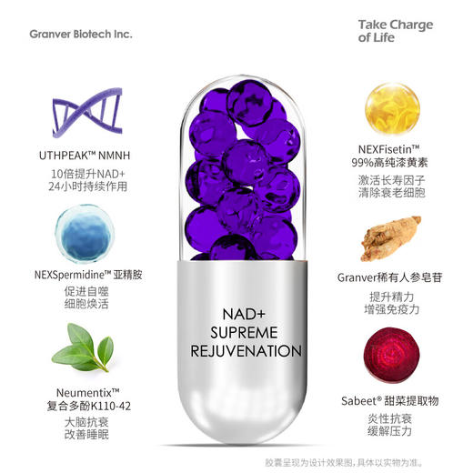 GRANVER吉瑞维高端亢衰老胶囊 第5代NMNH补充NAD+提升精力原装 商品图3