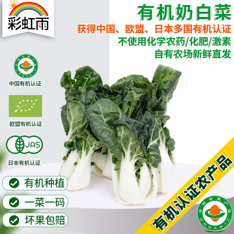 全国发货满额包邮 有机蔬菜 奶白菜250g欧盟认证 彩虹雨农场 新鲜青菜蔬菜