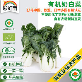 全国发货满额包邮 有机蔬菜 奶白菜250g欧盟认证 彩虹雨农场 新鲜青菜蔬菜