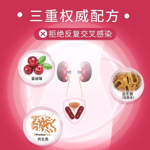 美国Cell-IQ汉拿博士蔓越莓益生菌胶囊 膀胱尿 商品图3