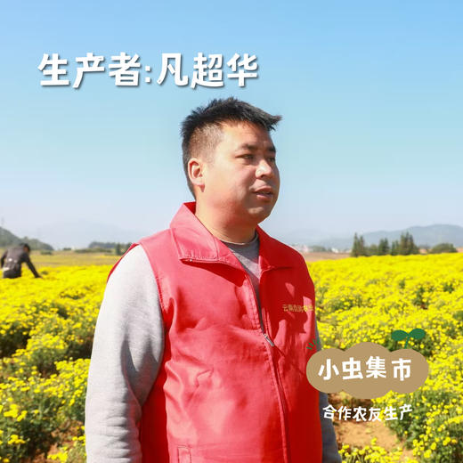 生态金丝皇菊 30g/罐 | 合作农友生产，来自云南曲靖，生产者：凡超华 ＆【公平贸易农人定价】 商品图3