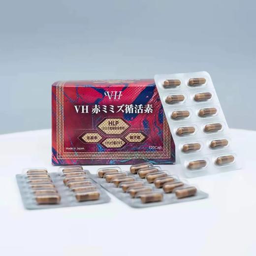 日本红蚯蚓酵素胶囊高活性赤地龙垃圾大扫除120粒盒 商品图4