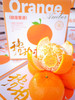 琥珀柑🍊——自然无需添加[好的]
来自大山里的纯粹甜蜜✨
每一口都带着大自然的馈赠，清甜、纯净🍃
来一颗，感受天然的甜蜜力量！
一箱净果4斤 商品缩略图1
