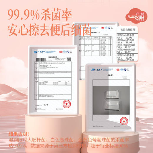 【99.9%杀菌】洁尔阴*森活元素湿厕纸湿巾40抽*12包 商品图2