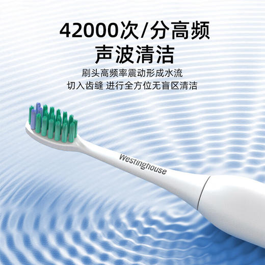 西屋（Westinghouse）智能声波电动牙刷_WT-0503 商品图1