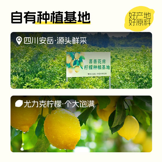 喜善花房 蜂蜜冻干柠檬片 100g*2/整箱装 100g*20 商品图2