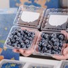 雪山蓝莓 商品缩略图3