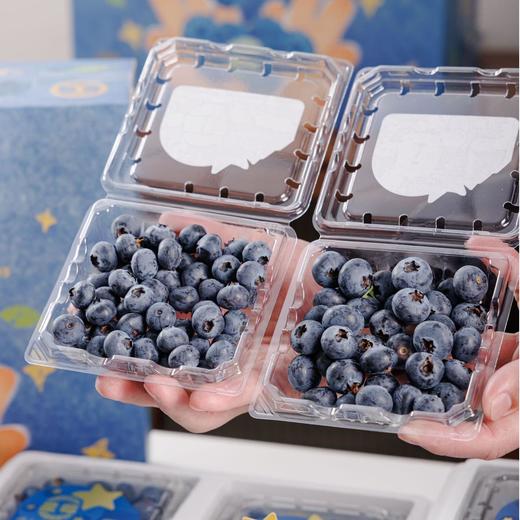 雪山蓝莓 商品图3