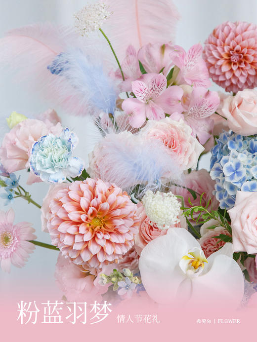 粉蓝羽梦 商品图2
