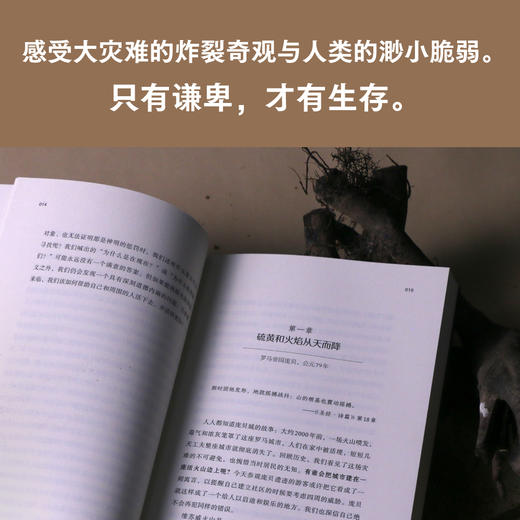 大灾变：自然灾害下我们如何生存 商品图3