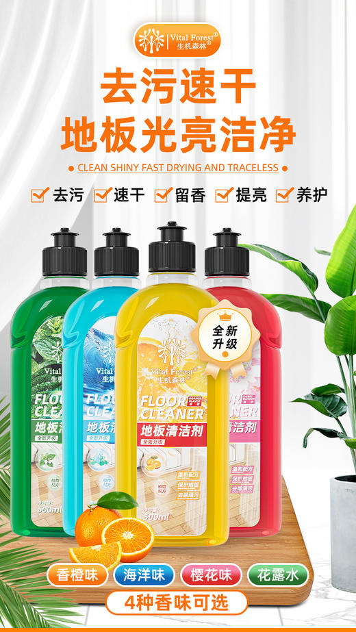 🎉品牌直发❗郝劭文代言❗一拖一喷 洁净如新✨ 【生机森林地板清洁剂小白鞋清洗剂】日常清洁B备好物❗  商品图0