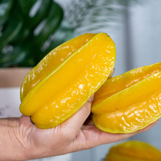 【鲜甜爽嫩 成熟后采摘】漳州云霄 软枝杨桃 清甜多汁入口无渣 3斤/4.5斤 商品图1