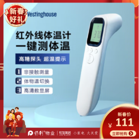 西屋（Westinghouse）体温计_DT-9816