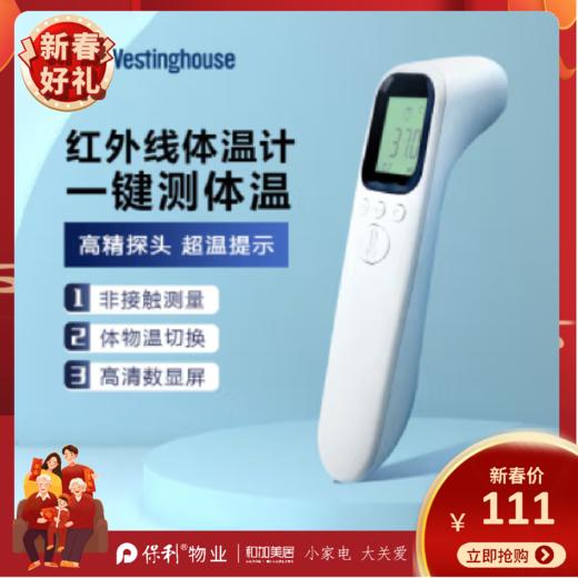 西屋（Westinghouse）体温计_DT-9816 商品图0