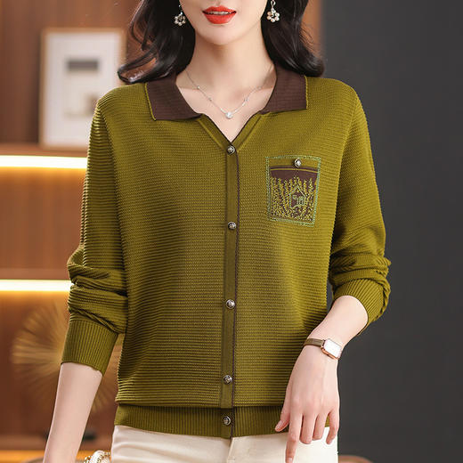 CC-102-8775春秋镶钻气质毛衣女冬款翻领长袖洋气上衣百搭刺绣针织打底衫 商品图2