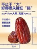 臻味阿联酋大椰枣600克/罐*2鲜采头茬果 商品缩略图1