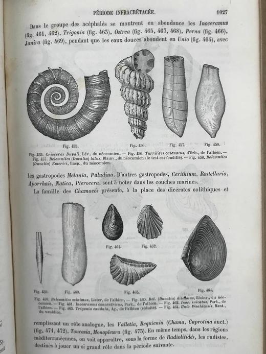 【法语】1885年 拉帕朗《地质学论文集》 666幅版画插图 真皮精装18开 商品图6